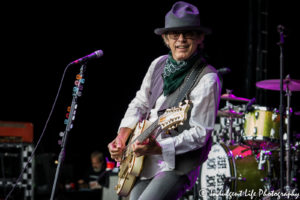 Tom Petersson of Cheap Trick at Starlight Theatre, Kansas City concert photography.